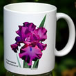 iris gypsy romance mug 8203.jpg